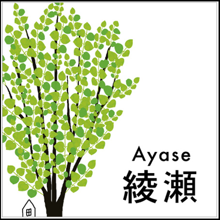 カツラの木の表札
